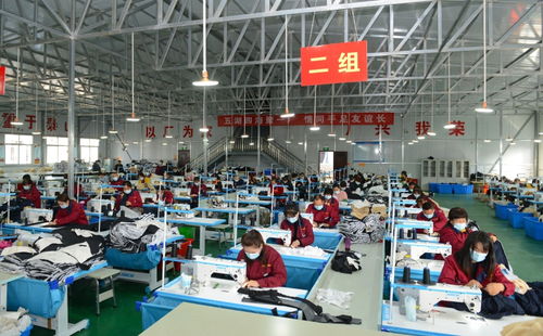 韩城 花椒铺就致富路 51个贫困村脱贫出列 组图