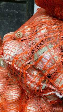 【新鲜蒜厂家直销2017跑江湖地摊热卖农家大蒜10元3斤模式新鲜大蒜SC12343456SC1234 3456】金牛区坤亿商贸部 - 产品库